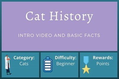 Cat History