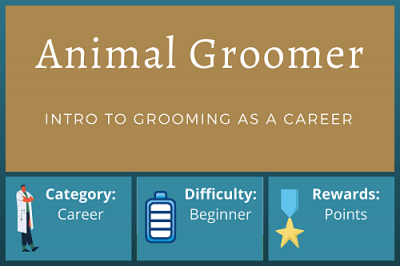Intro to Animal Groomer