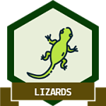 Lizard Group Badge
