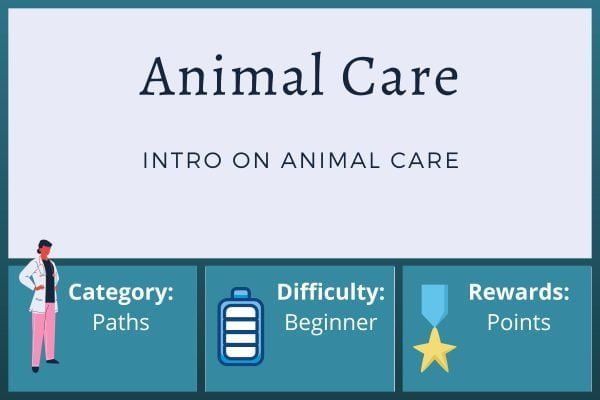 Intro to Animal Care