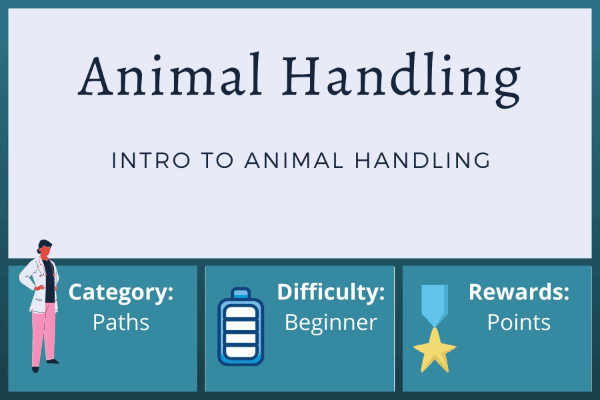 Intro to Animal Handling
