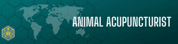 Animal Acupuncturist Banner