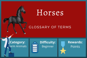 Glossary of Horse Terms Course