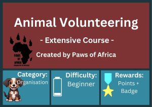 Animal Volunteering Course